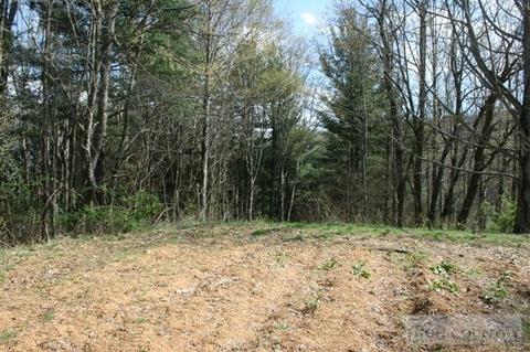 660 Big Windfall Rd, Lansing, NC 28643 photo 3