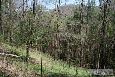 660 Big Windfall Rd, Lansing, NC 28643 photo 23