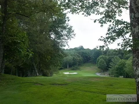 116 Fairway Dr, Beech Mountain, NC 28604 photo 9