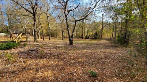 12225 Brown Bridge Rd, Covington, GA 30016 photo 9
