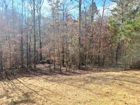 321 E Ranchette Rd, Temple, GA 30179 photo 31