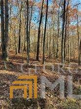 0 Coppermine Rd, Buchanan, GA 30179 photo 7