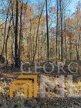 0 Coppermine Rd, Buchanan, GA 30179 photo 6