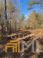 0 Coppermine Rd, Buchanan, GA 30179 photo 4