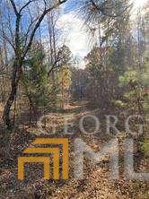 0 Coppermine Rd, Buchanan, GA 30179 photo 1