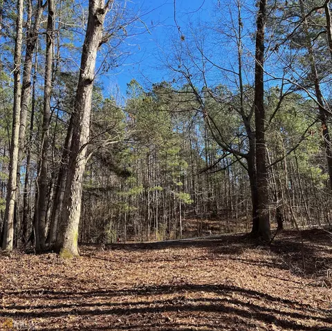 813 Squirrel Hollow Rd, Monroe, GA 30655 photo 8