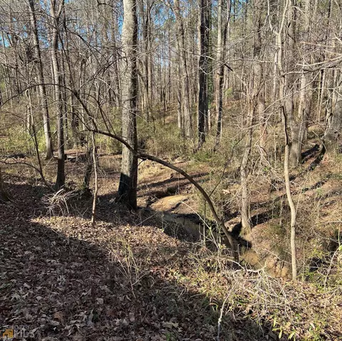 813 Squirrel Hollow Rd, Monroe, GA 30655 photo 11