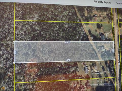 1733 Pineview Rd, Griffin, GA 30223 photo 2