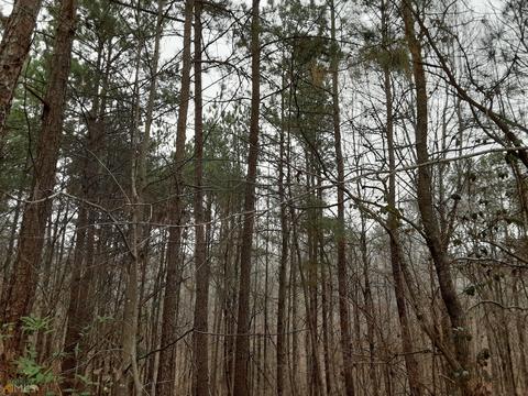 2255 Barnes Dr, Gainesville, GA 30507 photo 5