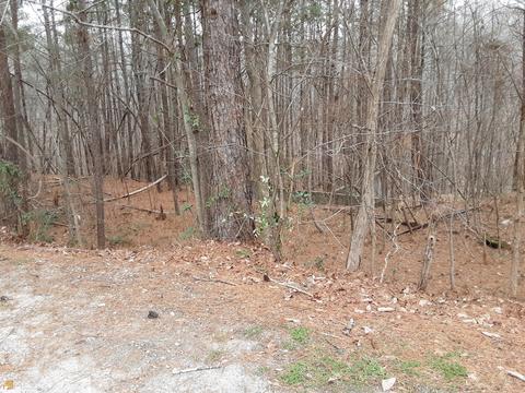 2255 Barnes Dr, Gainesville, GA 30507 photo 1