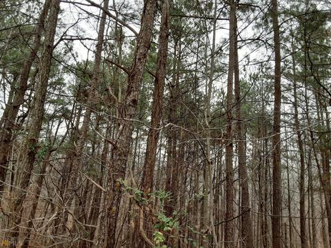 2255 Barnes Dr, Gainesville, GA 30507 photo 6