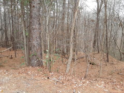 2255 Barnes Dr, Gainesville, GA 30507 photo 2