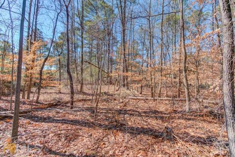 2646 Boddie Pl, Duluth, GA 30097 photo 6