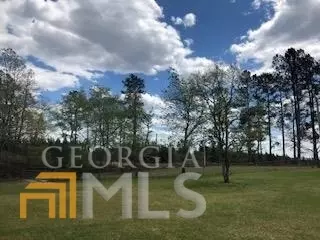 7115 Shoals Rd, Mitchell, GA 30820 photo 77