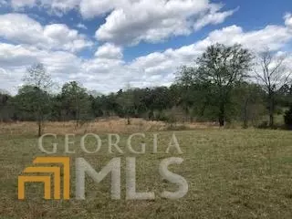 7115 Shoals Rd, Mitchell, GA 30820 photo 66
