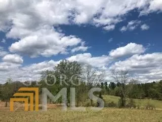 7115 Shoals Rd, Mitchell, GA 30820 photo 71