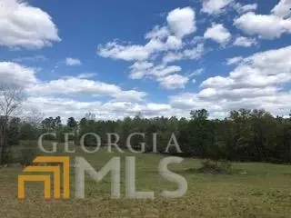 7115 Shoals Rd, Mitchell, GA 30820 photo 43