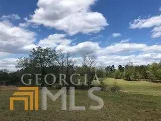7115 Shoals Rd, Mitchell, GA 30820 photo 54