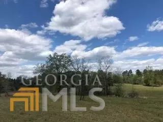 7115 Shoals Rd, Mitchell, GA 30820 photo 55