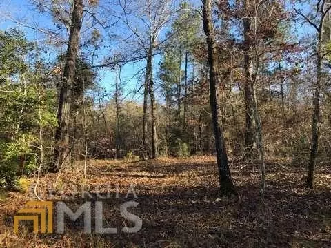 7115 Shoals Rd, Mitchell, GA 30820 photo 45