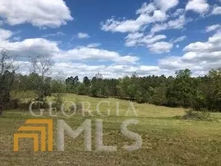 7115 Shoals Rd, Mitchell, GA 30820 photo 42