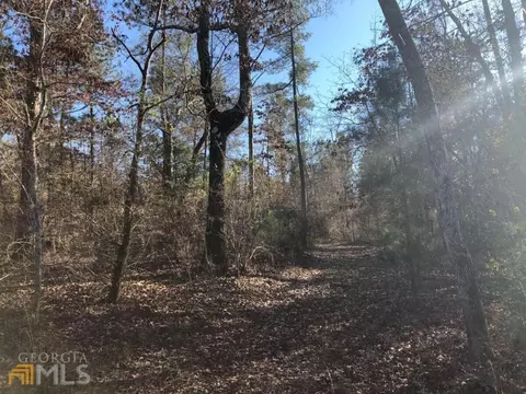 7115 Shoals Rd, Mitchell, GA 30820 photo 47