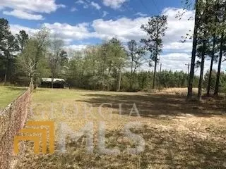 7115 Shoals Rd, Mitchell, GA 30820 photo 3