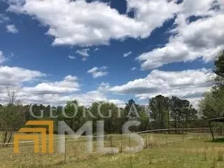 7115 Shoals Rd, Mitchell, GA 30820 photo 72