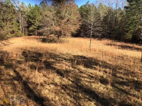 7115 Shoals Rd, Mitchell, GA 30820 photo 50