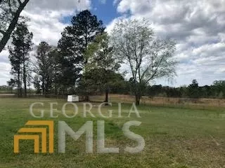 7115 Shoals Rd, Mitchell, GA 30820 photo 62