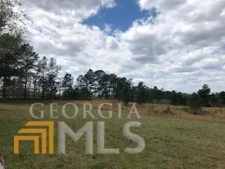7115 Shoals Rd, Mitchell, GA 30820 photo 68