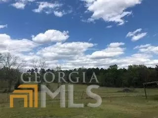 7115 Shoals Rd, Mitchell, GA 30820 photo 65
