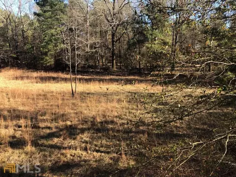 7115 Shoals Rd, Mitchell, GA 30820 photo 49