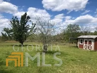 7115 Shoals Rd, Mitchell, GA 30820 photo 38