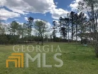 7115 Shoals Rd, Mitchell, GA 30820 photo 76