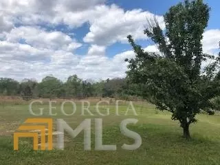 7115 Shoals Rd, Mitchell, GA 30820 photo 59