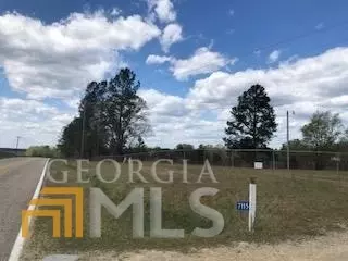 7115 Shoals Rd, Mitchell, GA 30820 photo 52