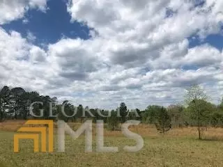 7115 Shoals Rd, Mitchell, GA 30820 photo 70