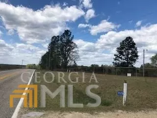 7115 Shoals Rd, Mitchell, GA 30820 photo 78