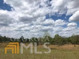 7115 Shoals Rd, Mitchell, GA 30820 photo 69