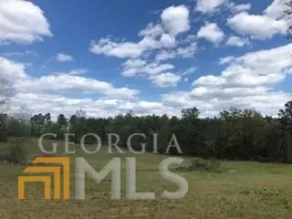 7115 Shoals Rd, Mitchell, GA 30820 photo 44