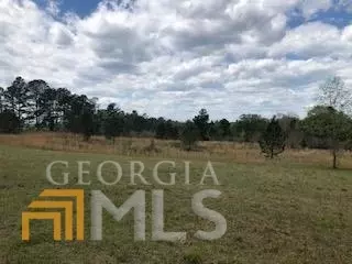 7115 Shoals Rd, Mitchell, GA 30820 photo 67