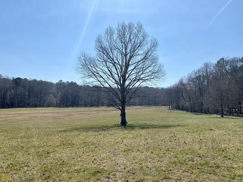 7679 Lambert Rd, Winston, GA 30187 photo 28