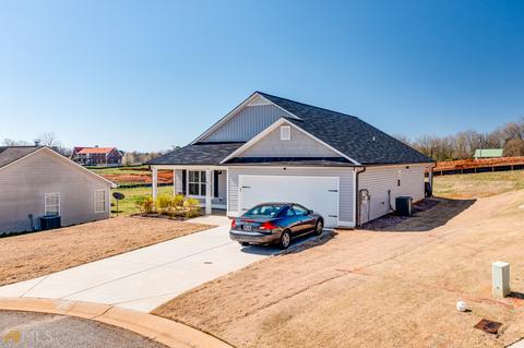6 Crest View Dr, Carnesville, GA 30521 photo 4