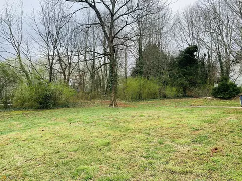 396 Oak Ave, Demorest, GA 30535 photo 28