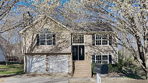 1102 Misty Meadows Ln, Hampton, GA 30228 photo 1