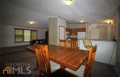 910 Tanners Ct, Bethlehem, GA 30620 photo 31