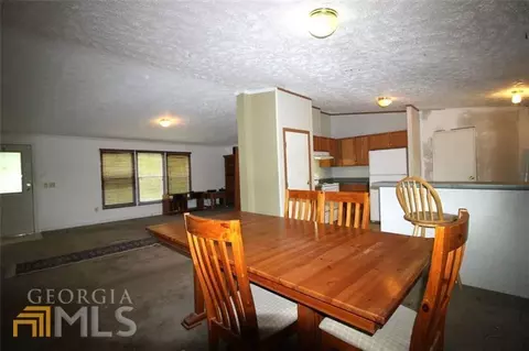910 Tanners Ct, Bethlehem, GA 30620 photo 11