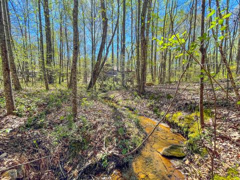 420 Chambers Rd, Mcdonough, GA 30253 photo 65