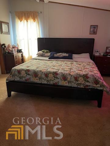 809 Tanners Way, Bethlehem, GA 30620 photo 10